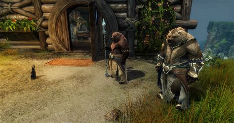 gw2 news|Announcing Guild Wars 2: Janthir Wilds – GuildWars2.com.